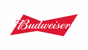 website logo